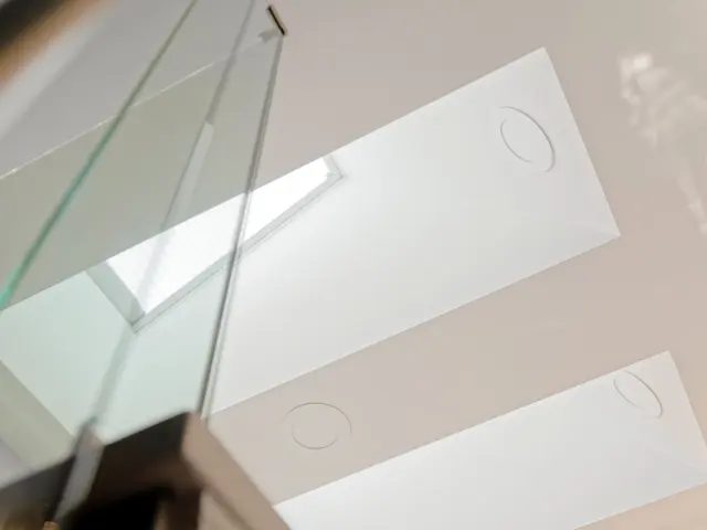 Two rectangular skylights above the glass shower enclosure.