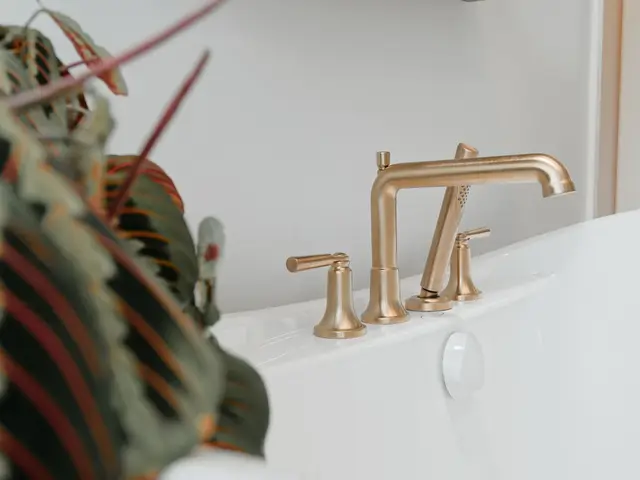 Close-up of the gold-tone tub spout and handles beside a leafy plant.