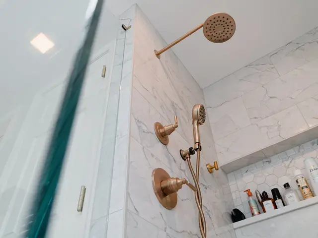 View through shower glass toward the gold-tone shower fixtures and recessed storage niche.