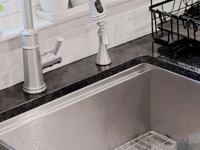 Stainless kitchen sink and tall arched faucet beneath a bright window with potted plants.