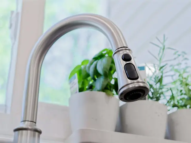 Close-up of the kitchen faucet's pull-down head with the window and plants behind it.
