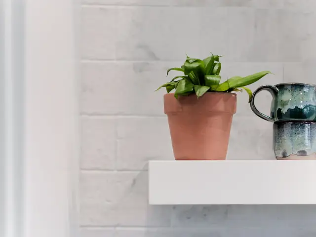 White floating shelf holding a potted plant and mugs against the light brick-pattern backsplash.